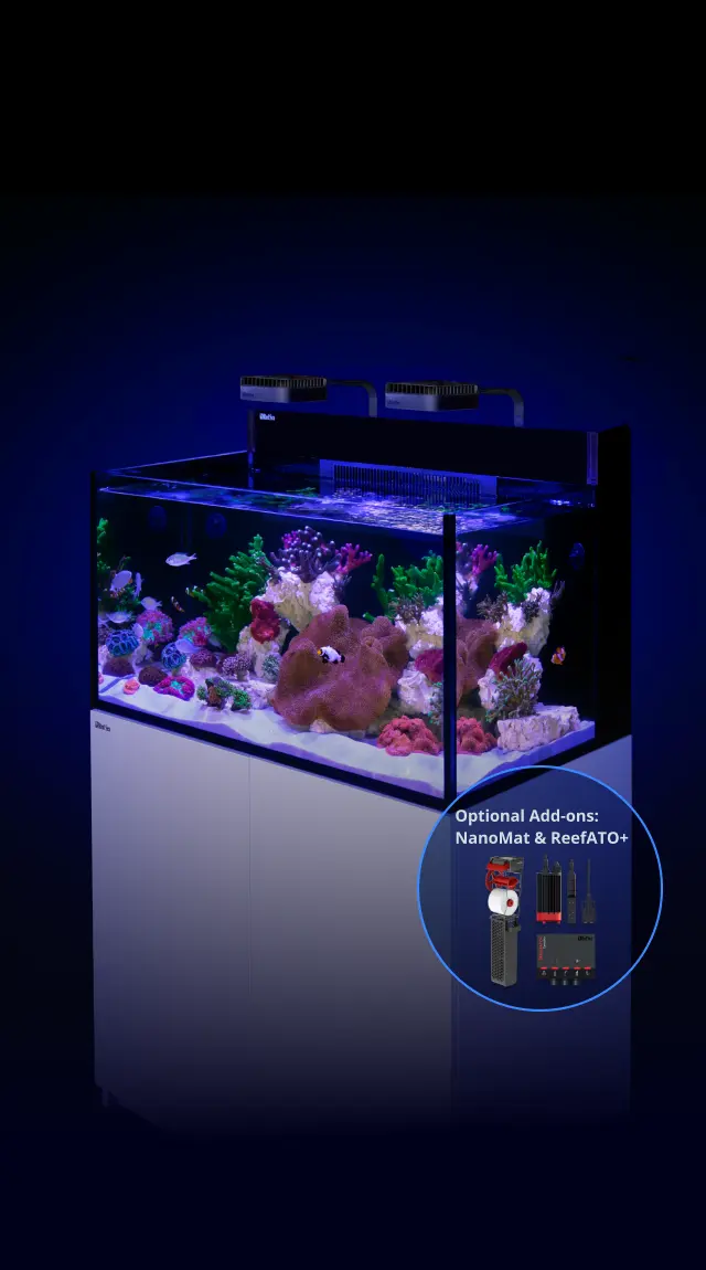The MAX NANO G2 XXL: The Ultimate Plug & Play Reef Aquarium