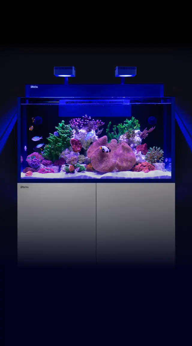 Redsea maxnano一式Tetra cpxクーラーとライブロック他おまけ付き Red Sea Reefer Nano XXL MAX System with Cabinet – Kona Reef Az