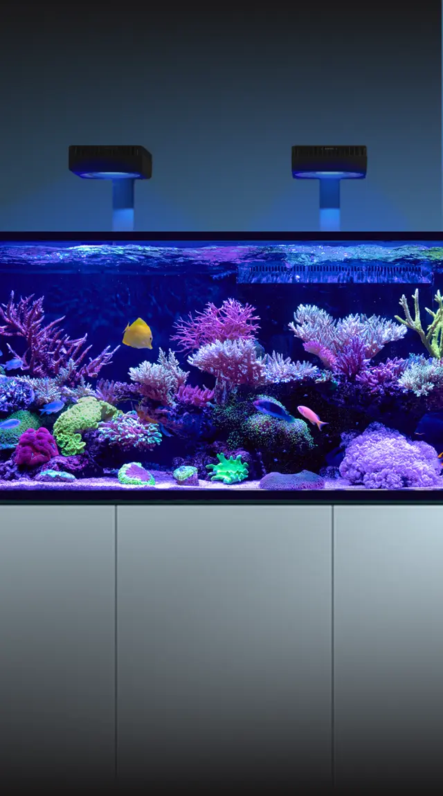 REEFER-S-G3_Concept-banner-mob