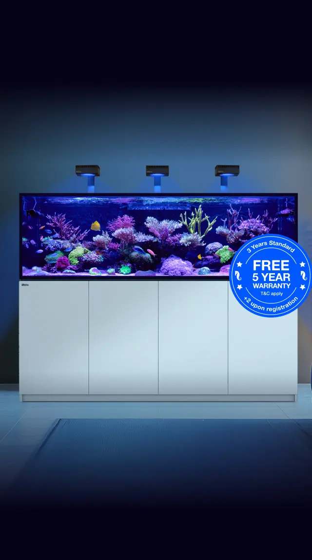 reefer-s - Supersized premium reef-ready systems