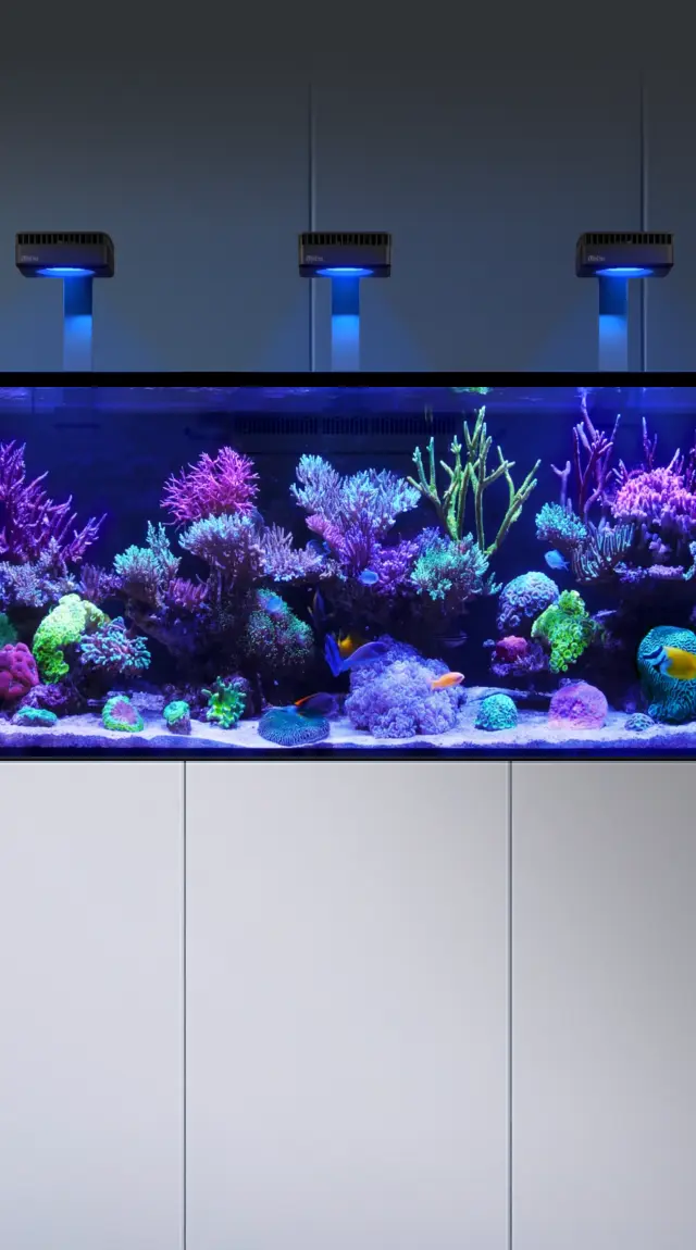 REEFER G3 | The perfect foundation for any thriving reef