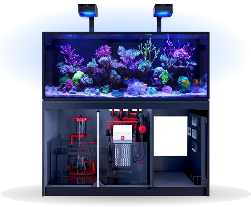 Red Sea Aquarium Systems