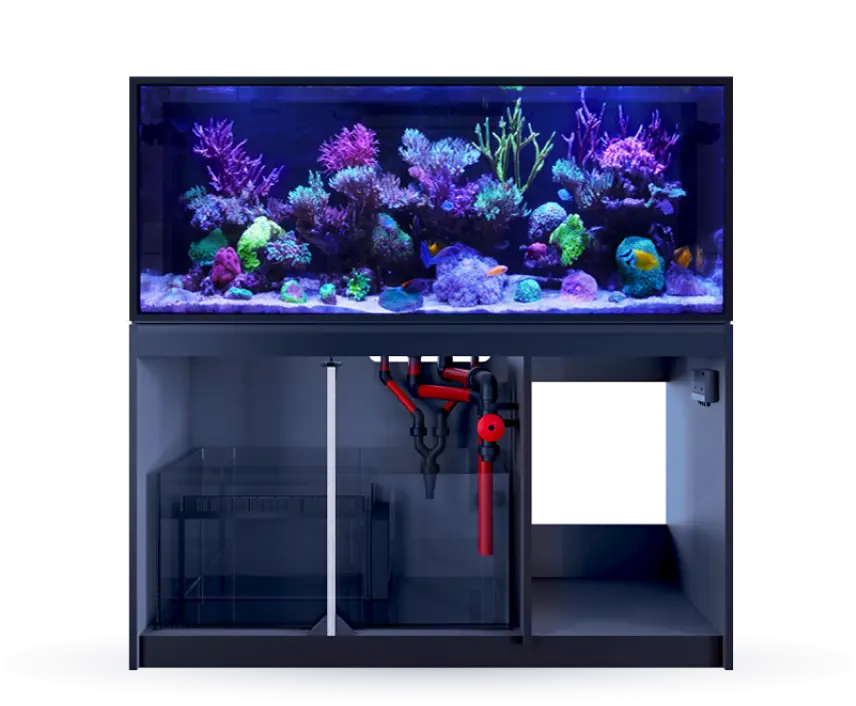 Aquarium Systems - Red Sea Fish