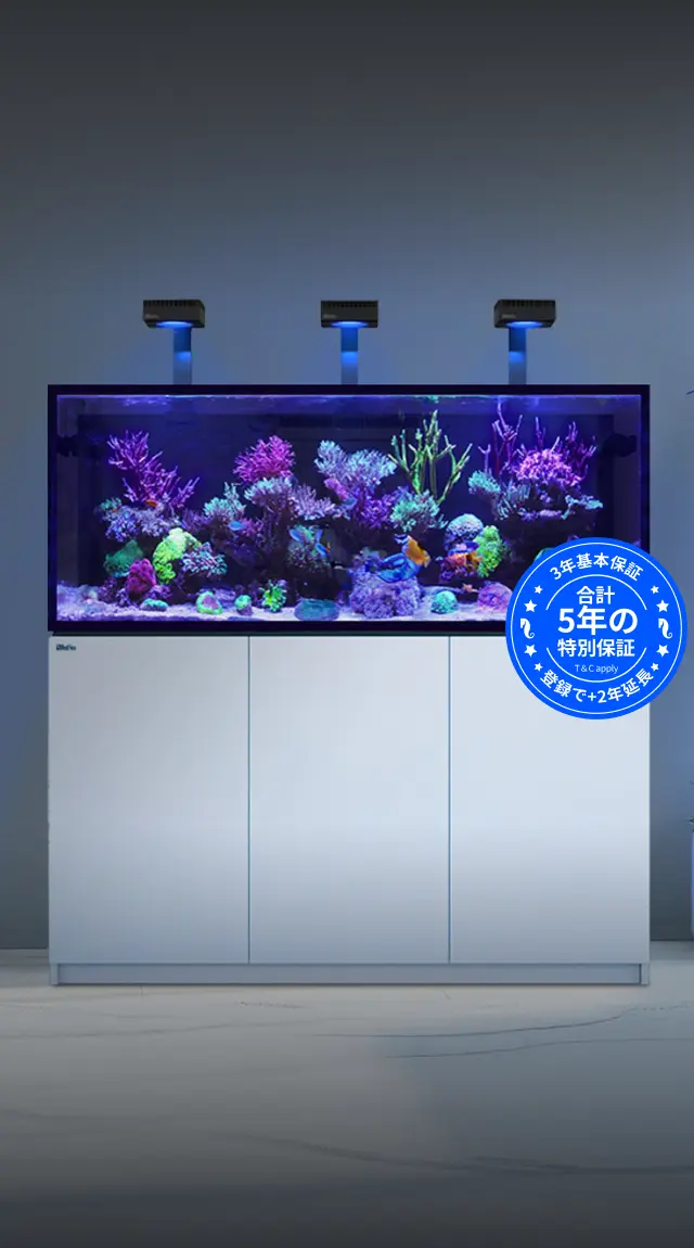 レッドシーリーファー　マリンアクアリウム　リーファー　海水魚　水槽 レッドシーリーファーG2発売で魔改造Ⅱは不要かも？ - saff design