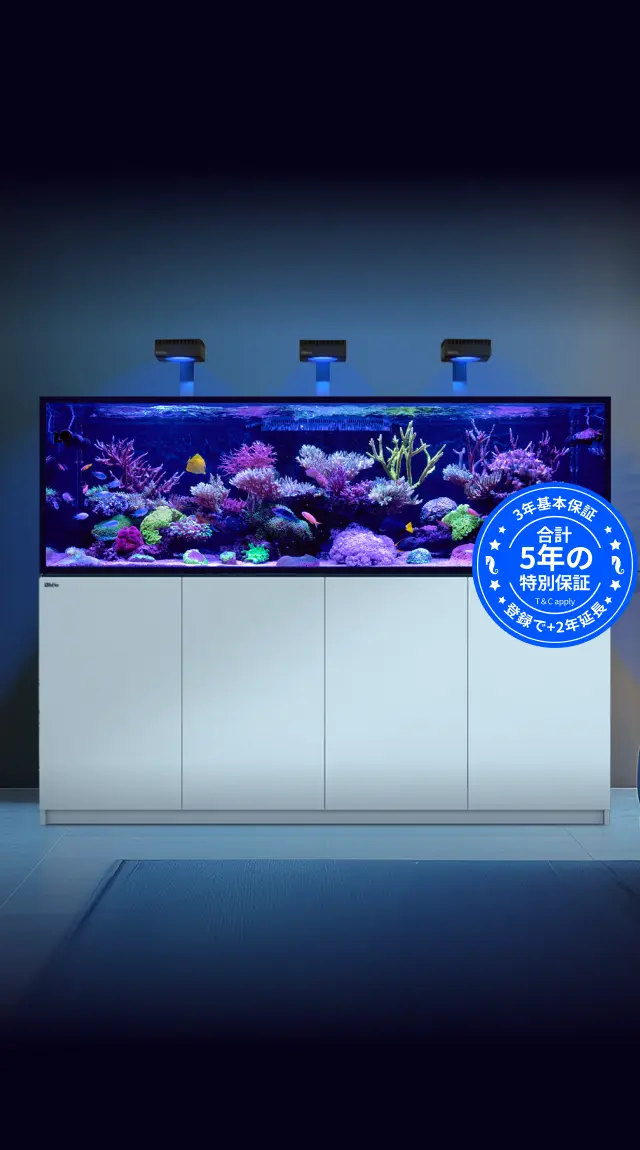 REEFER-S - 超大型、リーフ対応プレミアムシステム