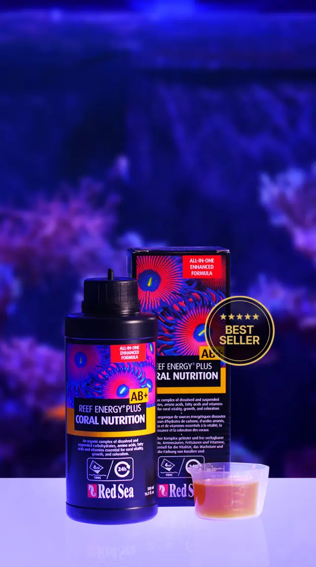 Reef Energy Plus - Red Sea Fish