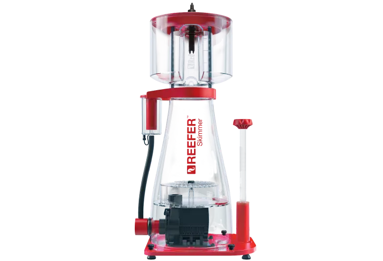 Skimmer-900-2.png@webp