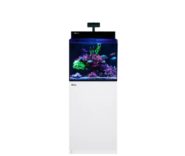 The MAX NANO G2 Series - Red Sea