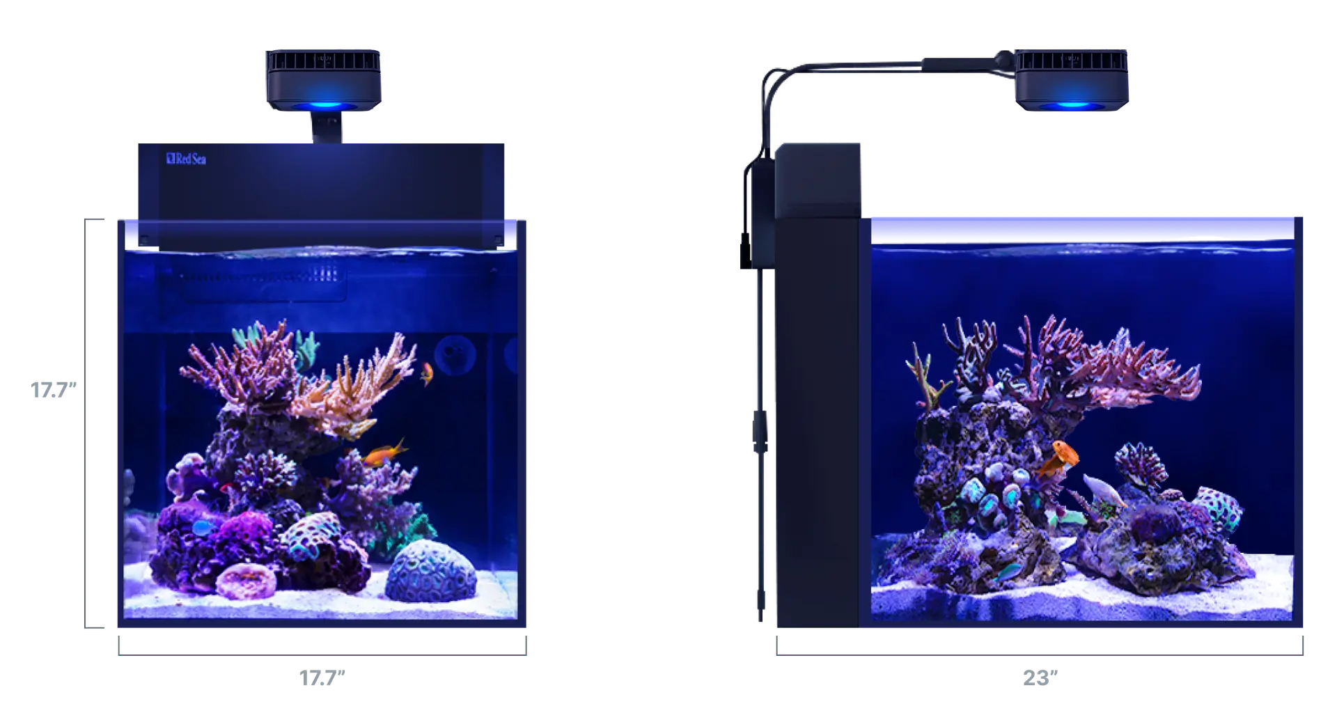 The MAX NANO G2 Series - Red Sea