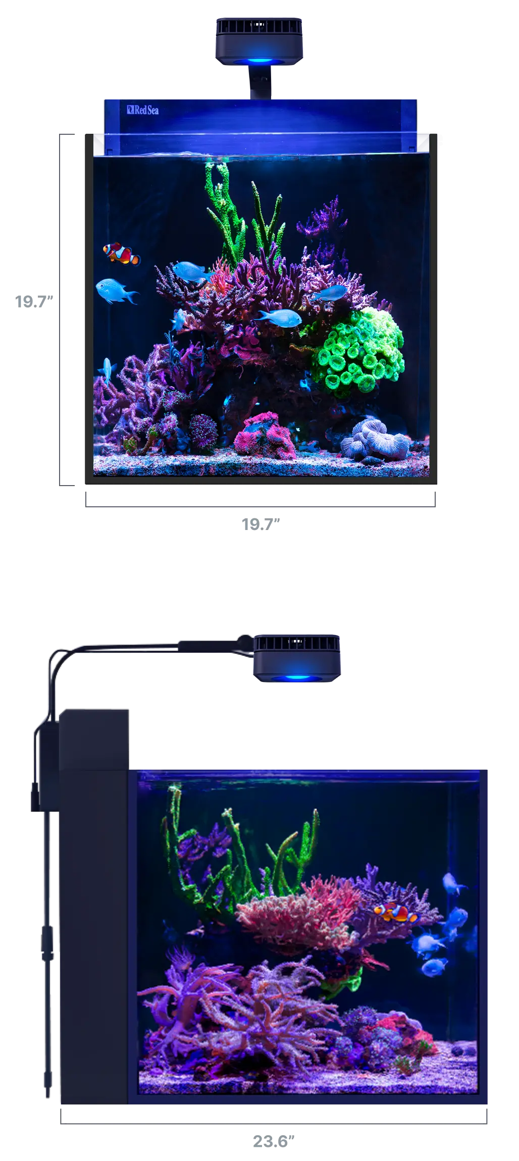 max-nano-xl-dimensions-usa-mob