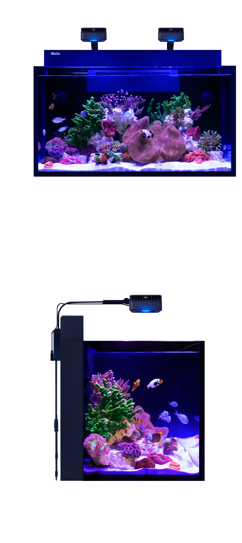 max-nano-xxl-dimensions-usa-