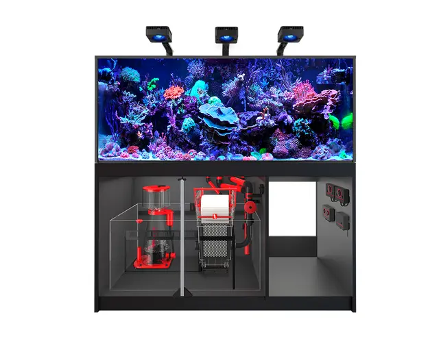 Aquarium Systems - Red Sea Fish