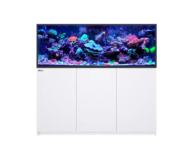 Aquarium Systems - Red Sea Fish
