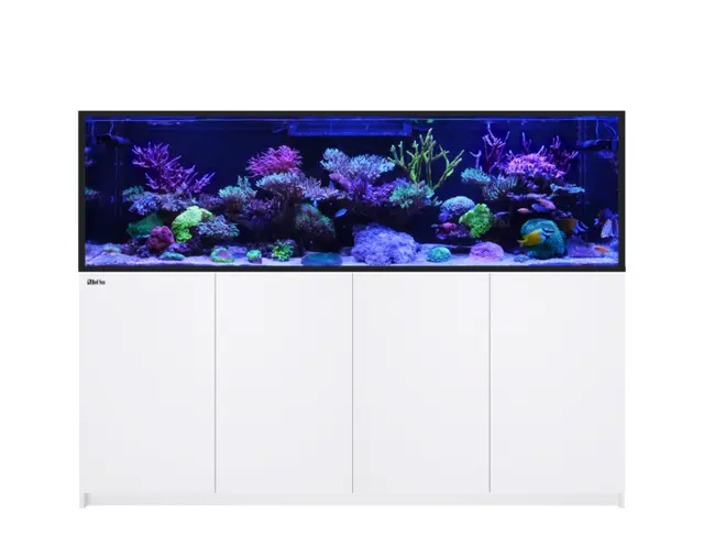 Aquarium Systems - Red Sea Fish